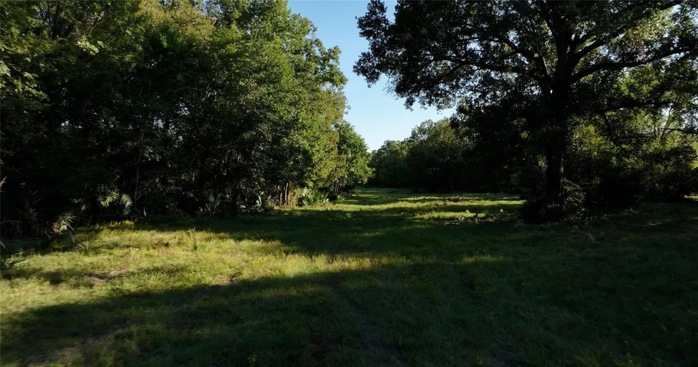 195 Fm 149 Rd Montgomery, TX 77356