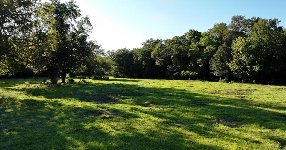195 Fm 149 Rd Montgomery, TX 77356