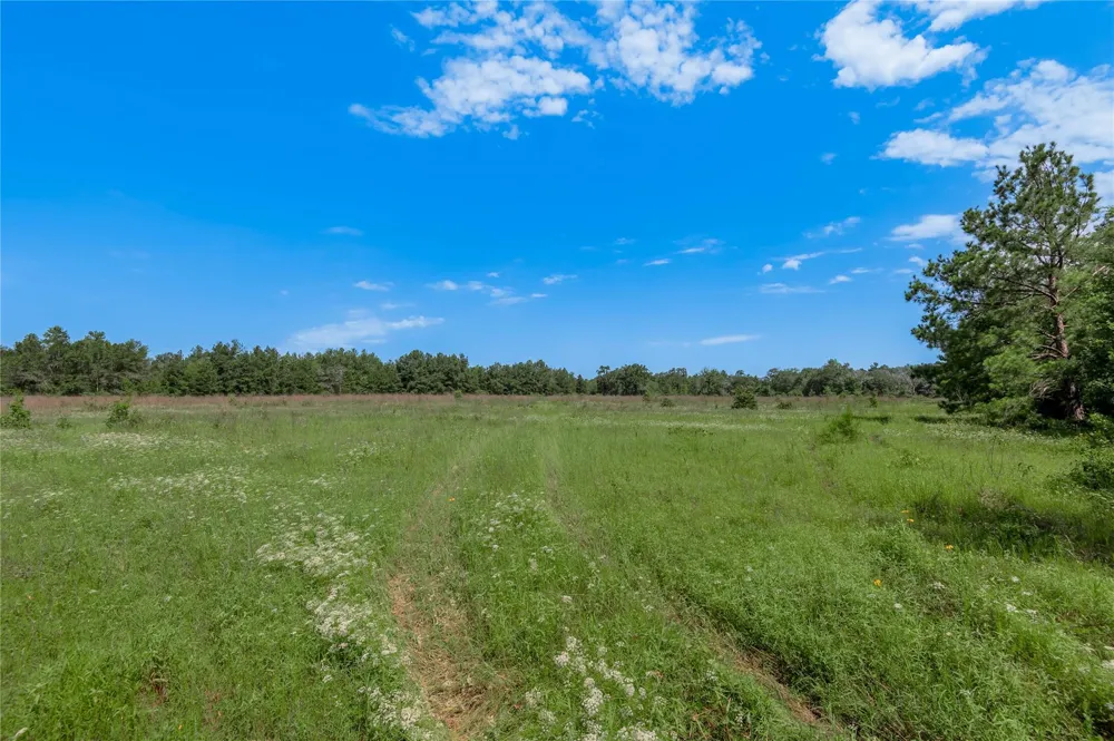Neal Helton Road Kennard, TX 75847