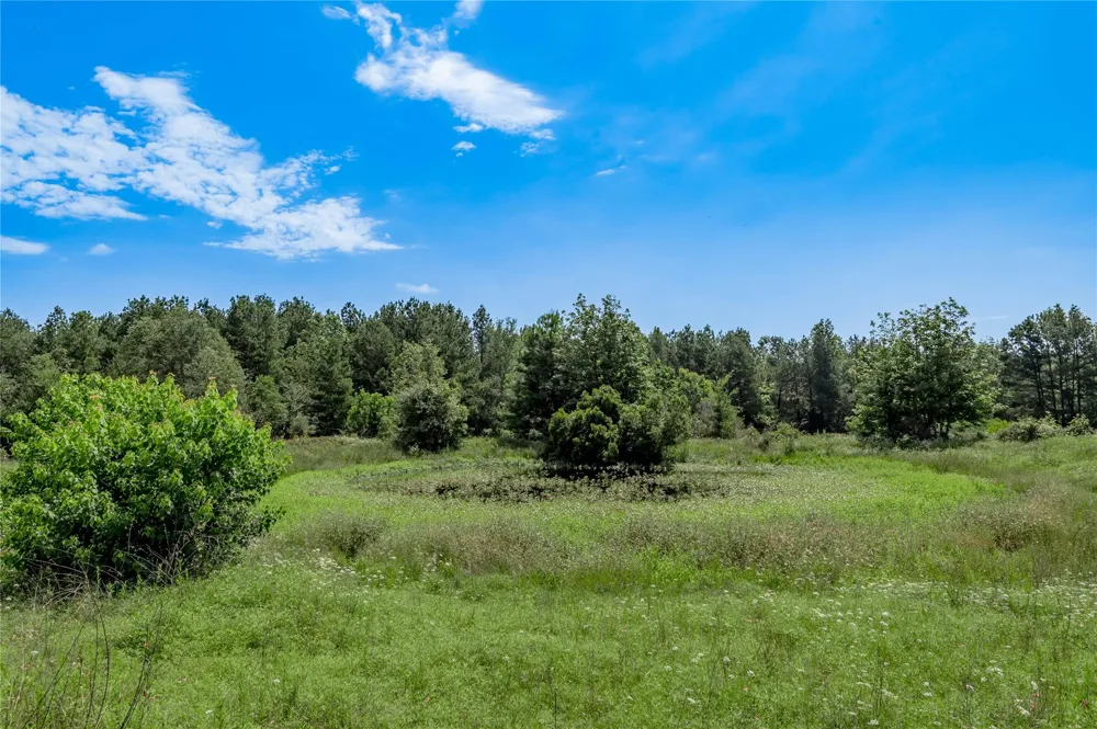 Neal Helton Road Kennard, TX 75847