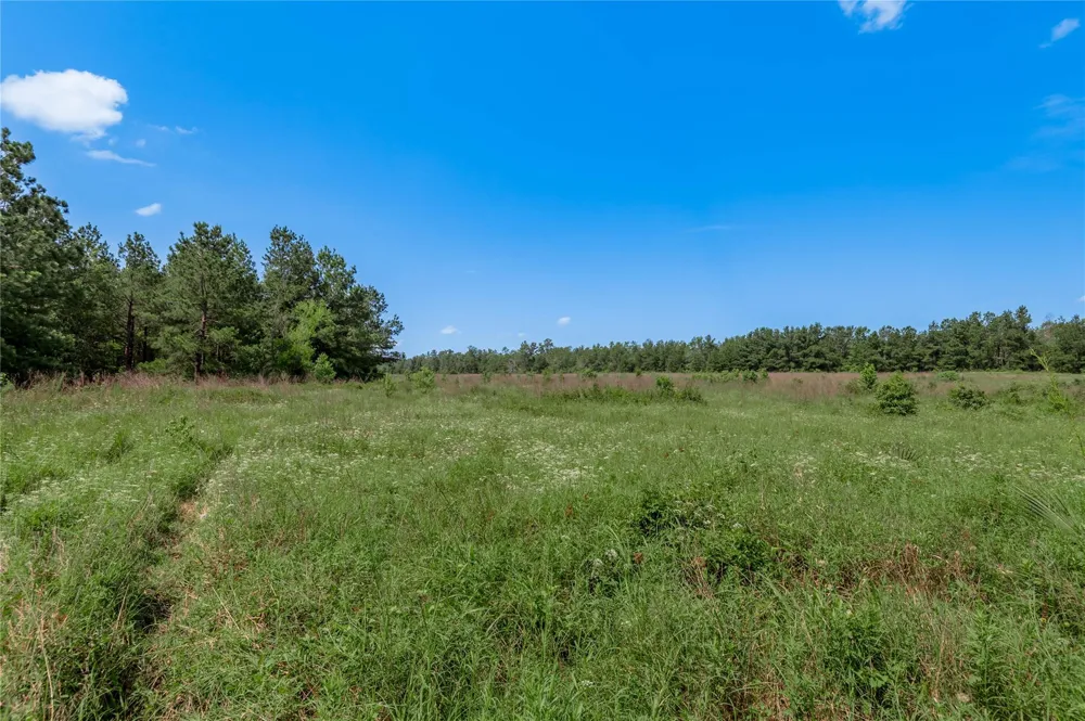 Neal Helton Road Kennard, TX 75847