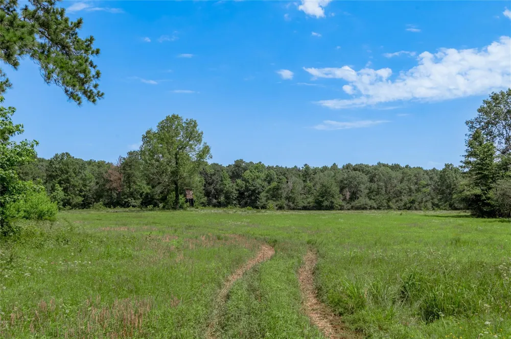 Neal Helton Road Kennard, TX 75847