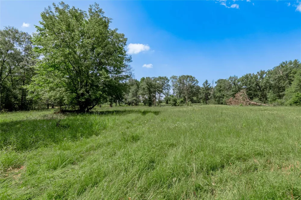 Neal Helton Road Kennard, TX 75847