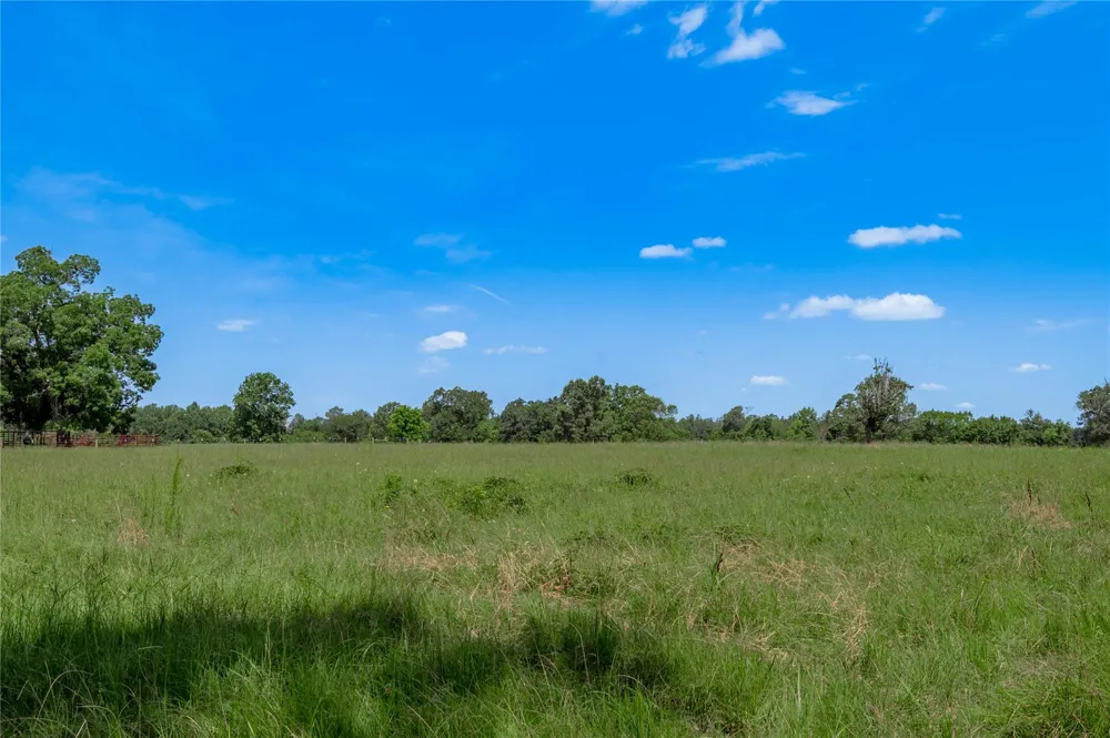 Neal Helton Road Kennard, TX 75847