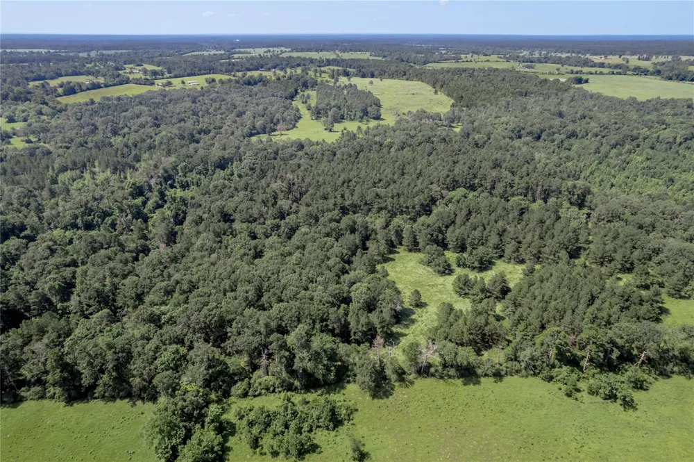 Neal Helton Road Kennard, TX 75847