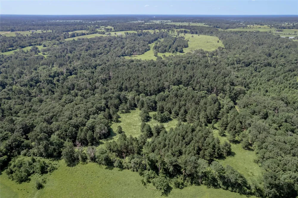 Neal Helton Road Kennard, TX 75847