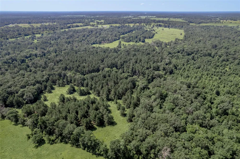 Neal Helton Road Kennard, TX 75847