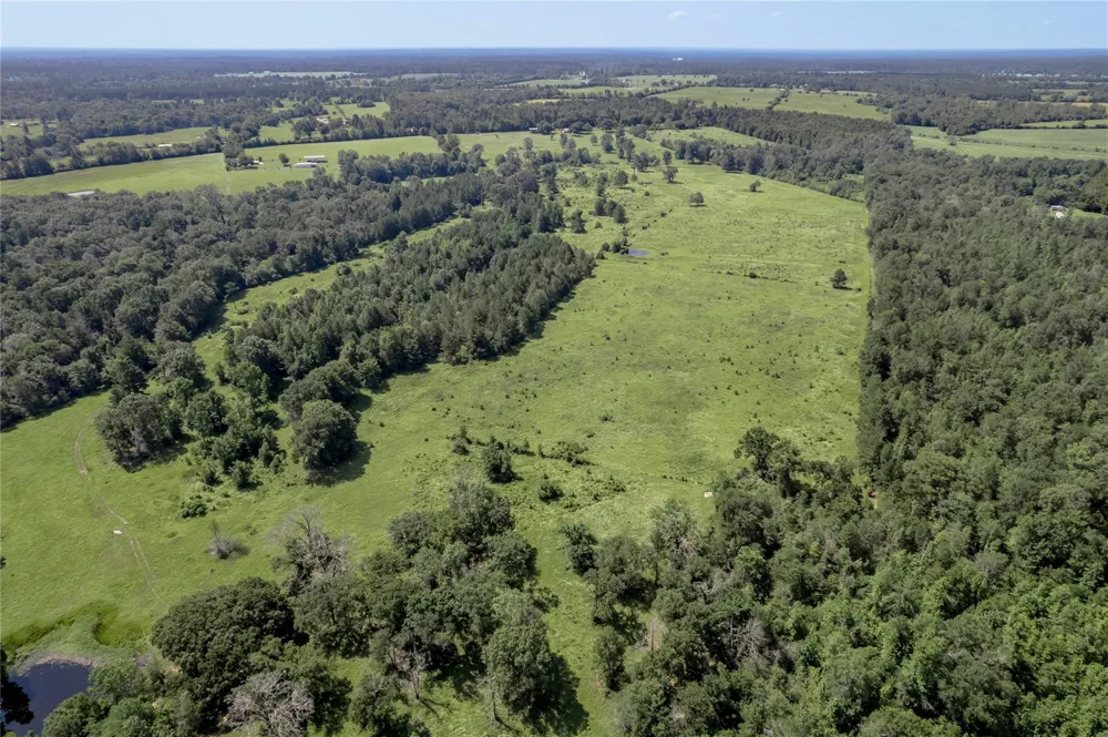 Neal Helton Road Kennard, TX 75847