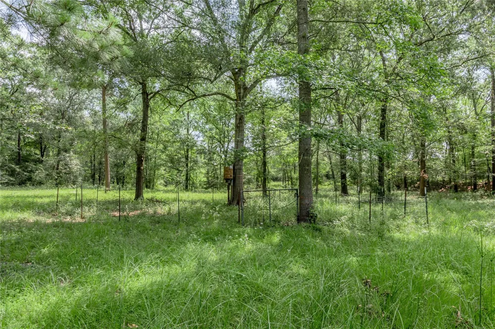 Neal Helton Road Kennard, TX 75847