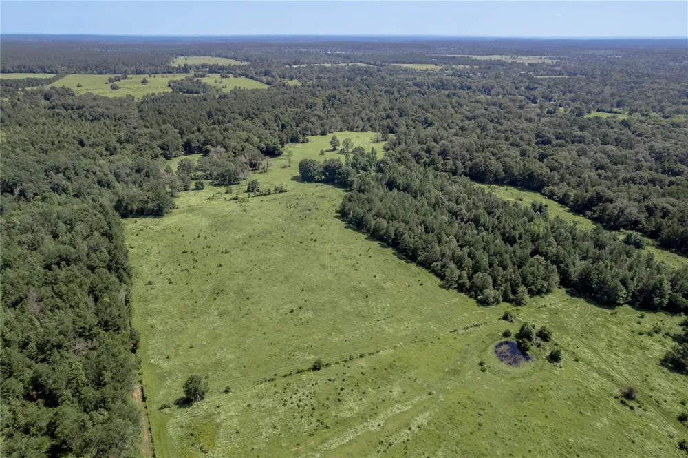 Neal Helton Road Kennard, TX 75847