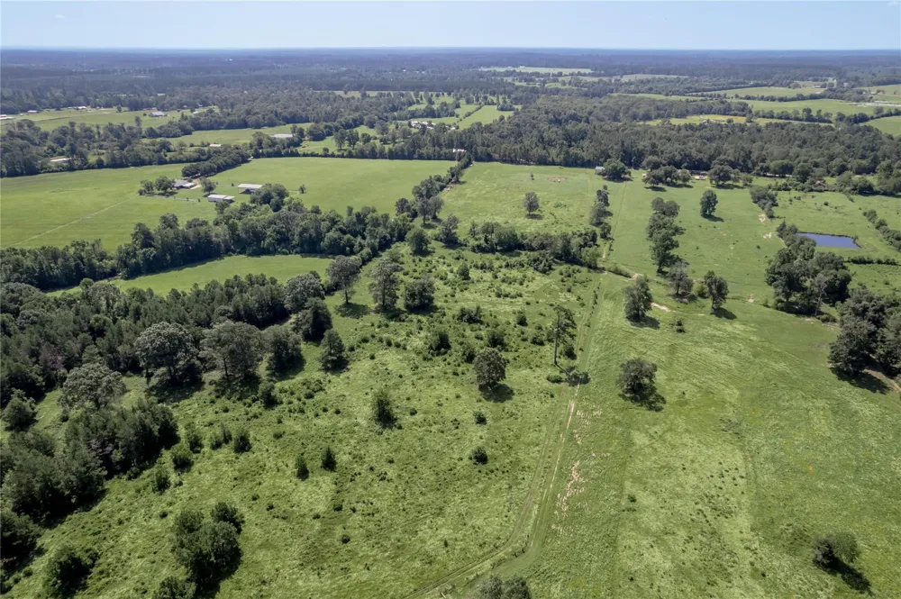Neal Helton Road Kennard, TX 75847