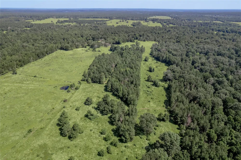 Neal Helton Road Kennard, TX 75847