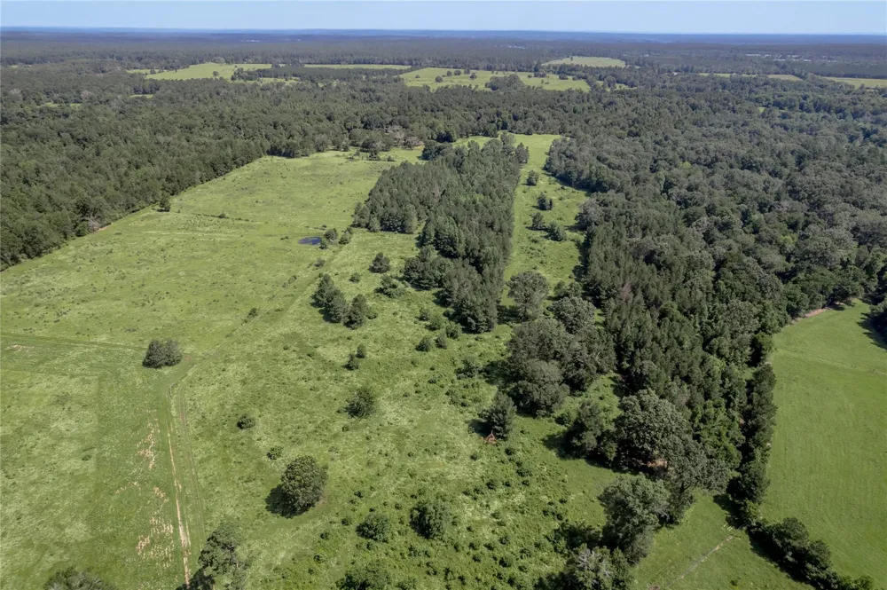 Neal Helton Road Kennard, TX 75847