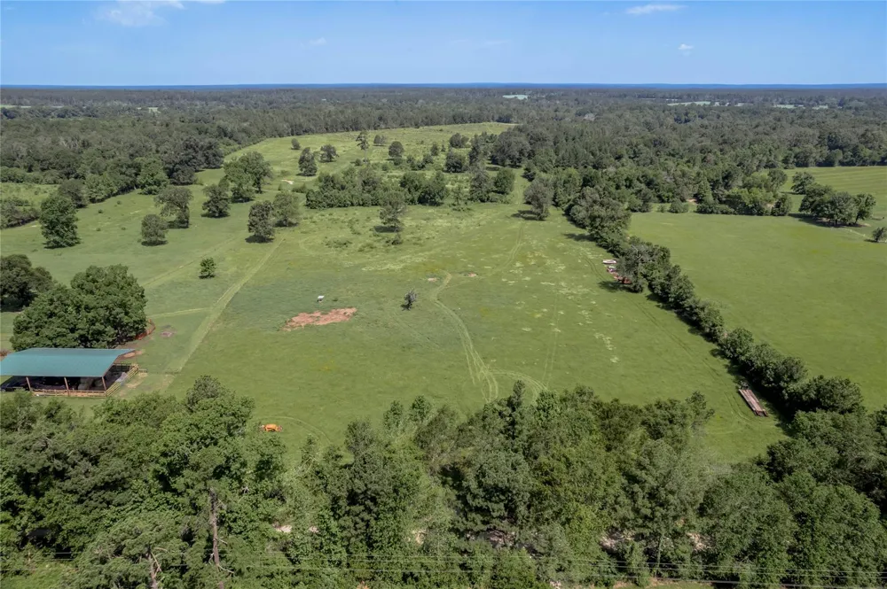 Neal Helton Road Kennard, TX 75847
