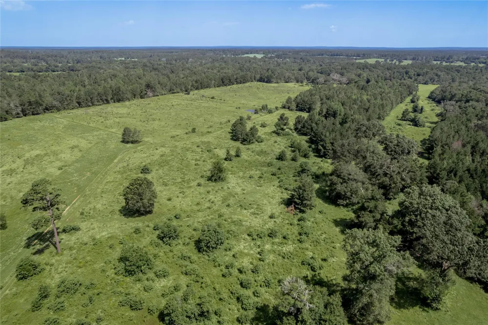 Neal Helton Road Kennard, TX 75847