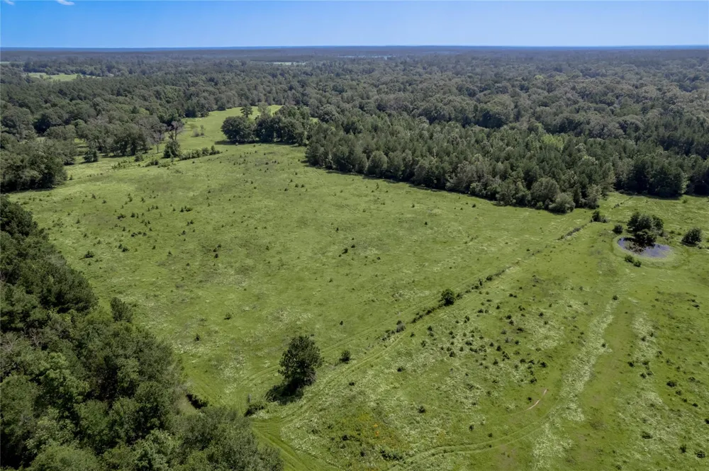 Neal Helton Road Kennard, TX 75847