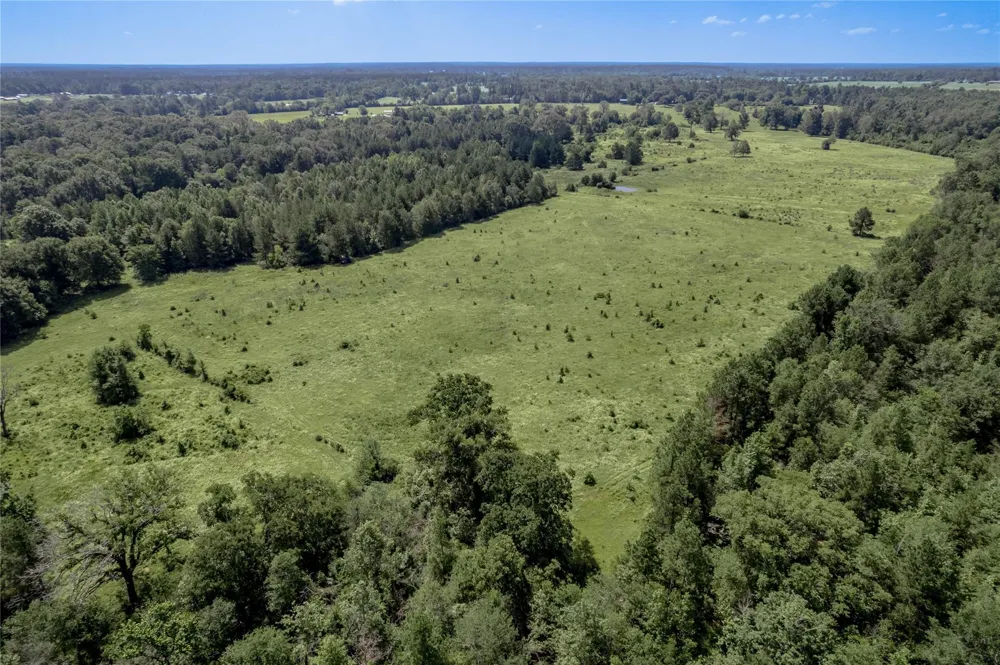 Neal Helton Road Kennard, TX 75847