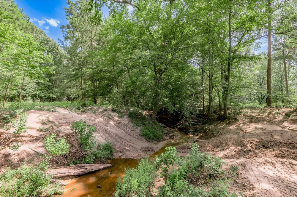 Neal Helton Road Kennard, TX 75847