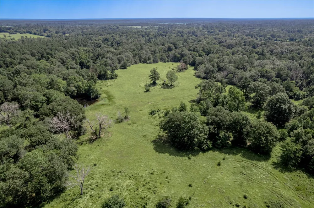 Neal Helton Road Kennard, TX 75847