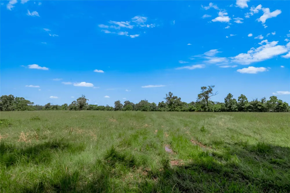 Neal Helton Road Kennard, TX 75847