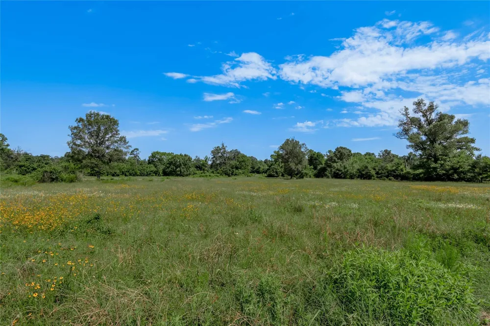 Neal Helton Road Kennard, TX 75847