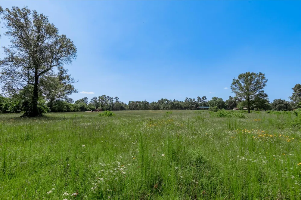 Neal Helton Road Kennard, TX 75847