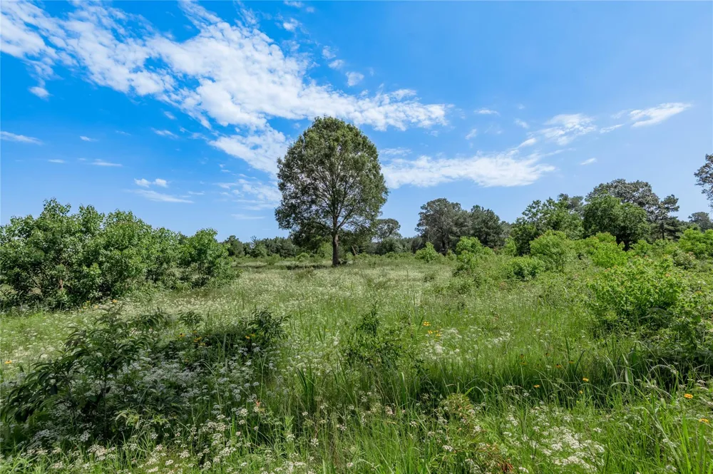 Neal Helton Road Kennard, TX 75847
