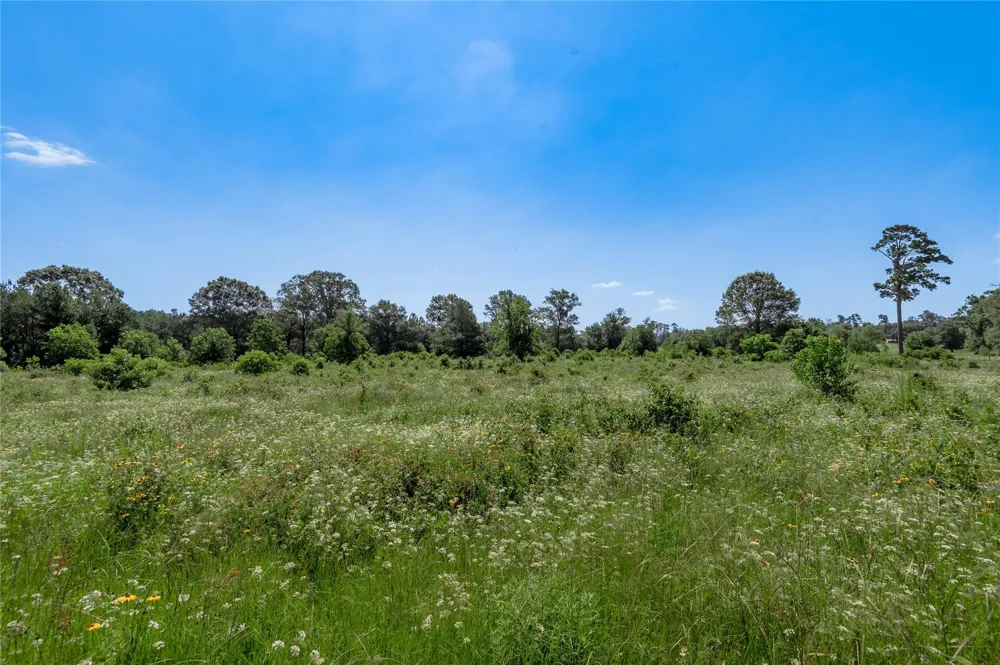 Neal Helton Road Kennard, TX 75847