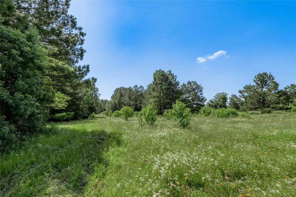 Neal Helton Road Kennard, TX 75847