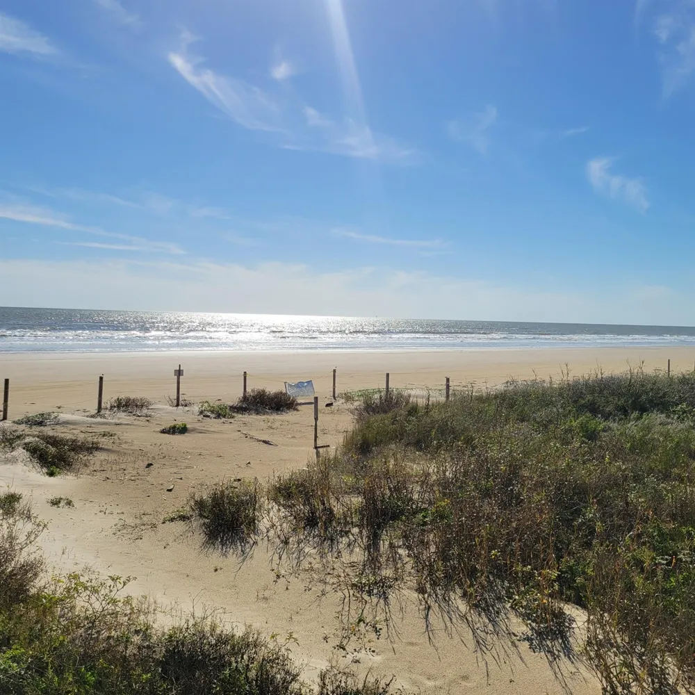 Ocean Drive Surfside Beach, TX 77541