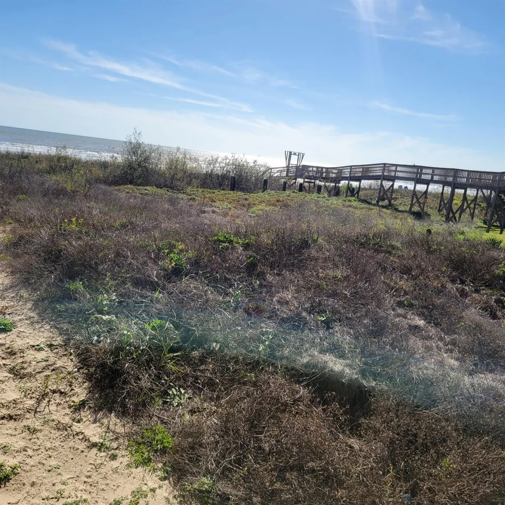 Ocean Drive Surfside Beach, TX 77541