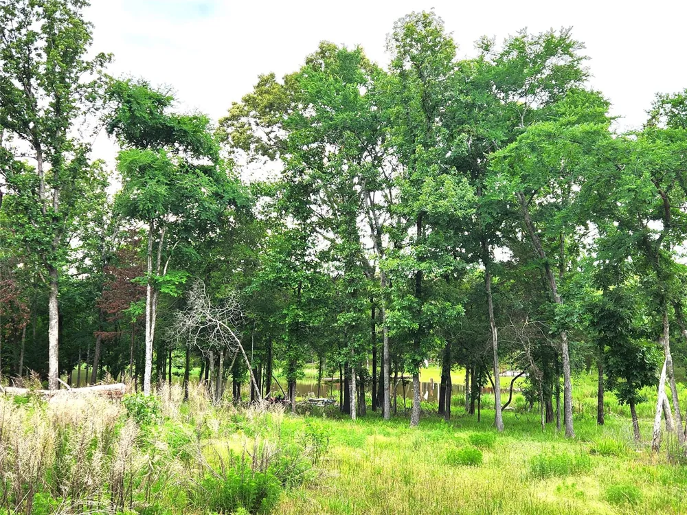 9042 Safari Bluff Larue, TX 75770