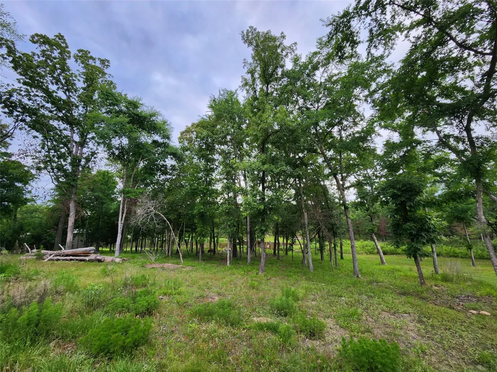 9042 Safari Bluff Larue, TX 75770