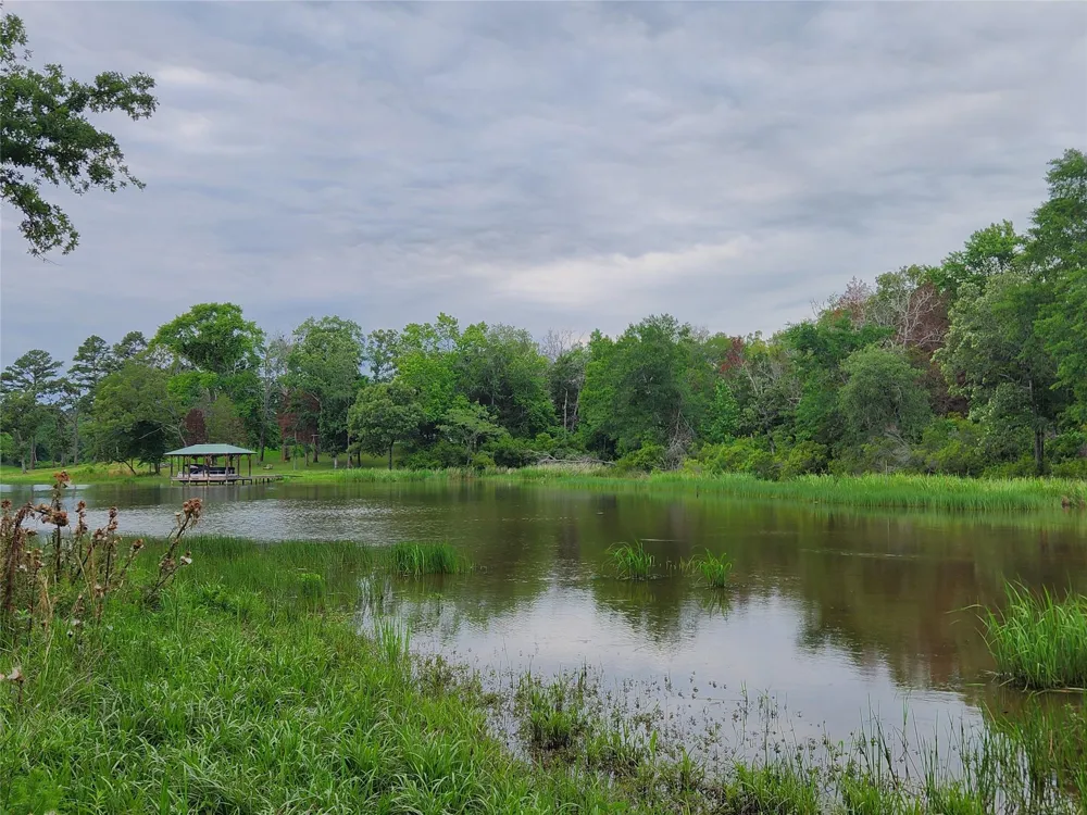 9042 Safari Bluff Larue, TX 75770