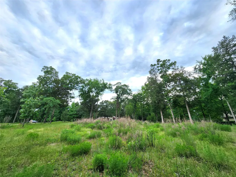 9042 Safari Bluff Larue, TX 75770