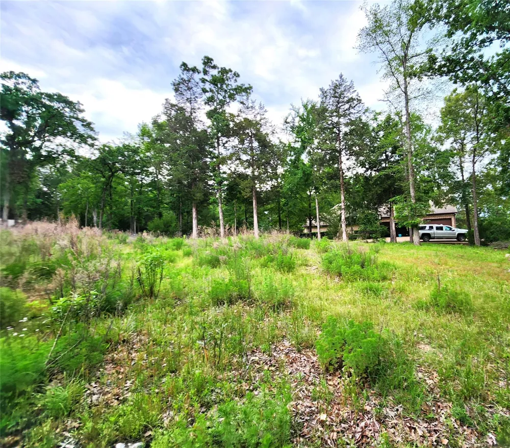 9042 Safari Bluff Larue, TX 75770