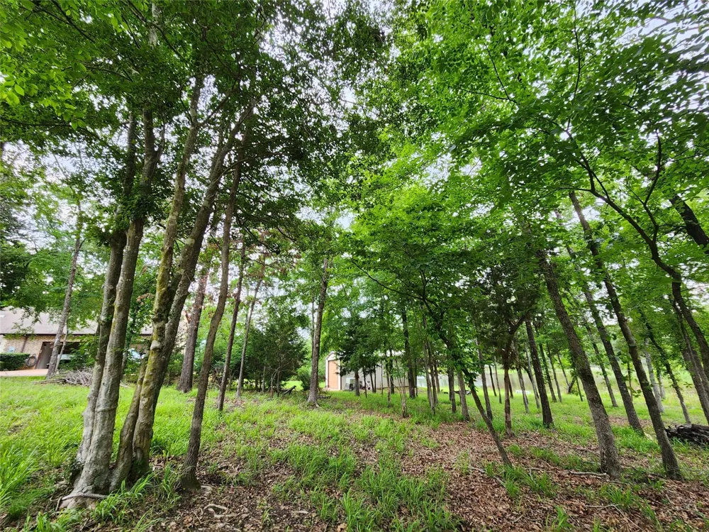 9042 Safari Bluff Larue, TX 75770