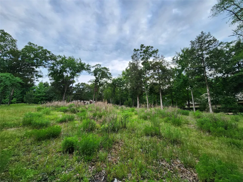 9042 Safari Bluff Larue, TX 75770