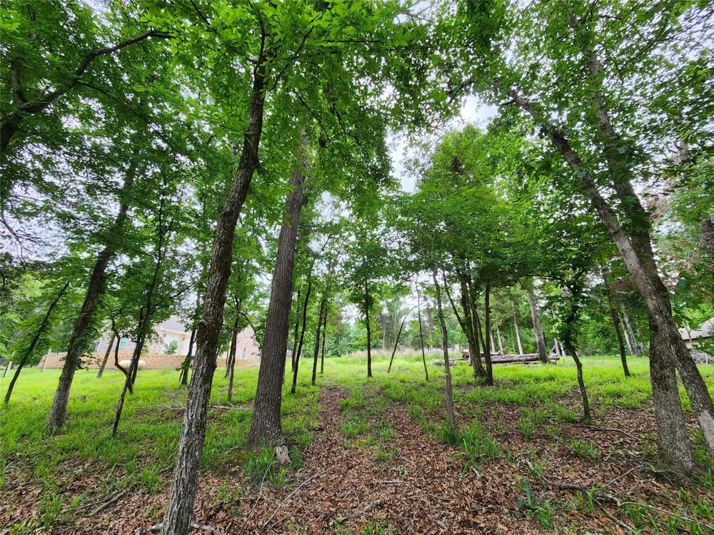 9042 Safari Bluff Larue, TX 75770