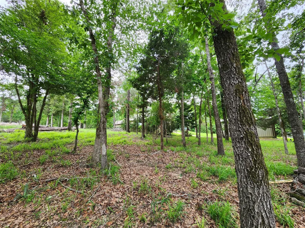 9042 Safari Bluff Larue, TX 75770