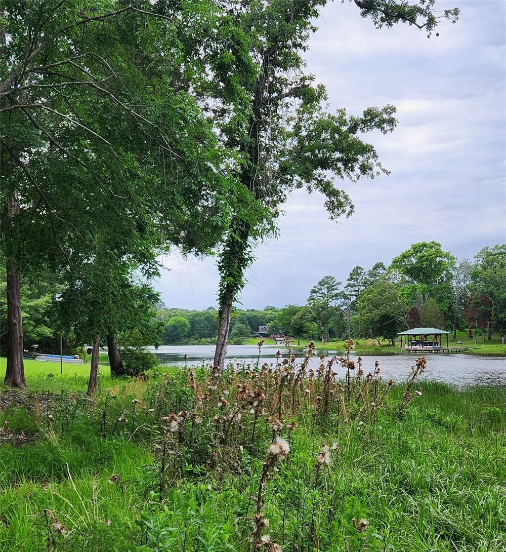 9042 Safari Bluff Larue, TX 75770
