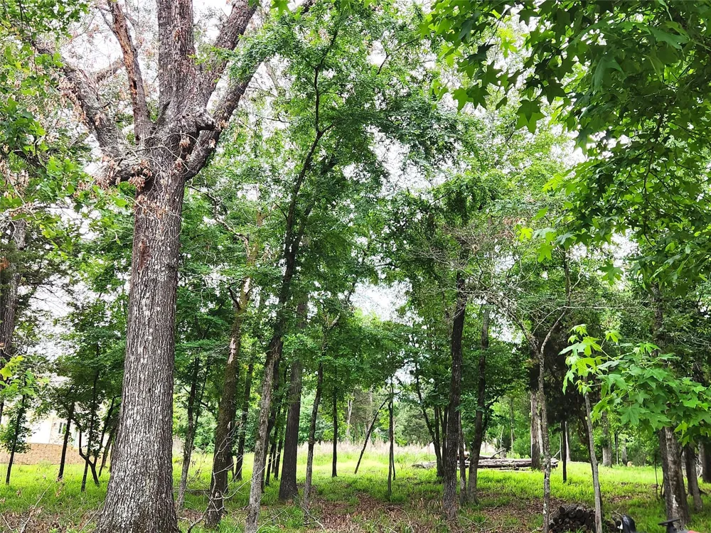 9042 Safari Bluff Larue, TX 75770