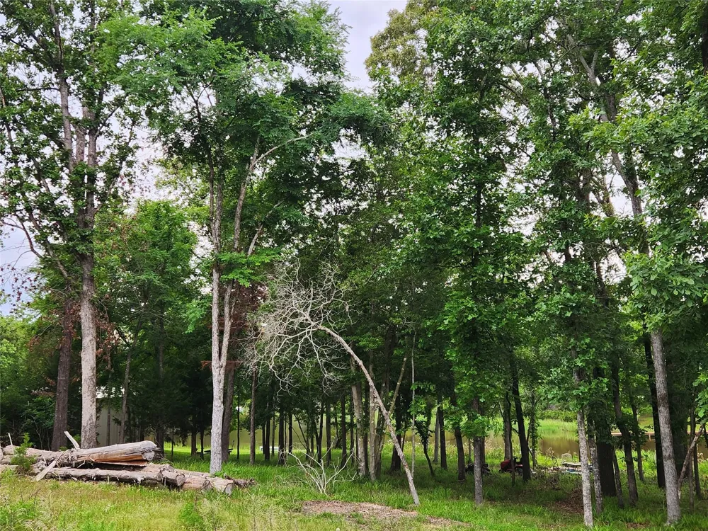 9042 Safari Bluff Larue, TX 75770