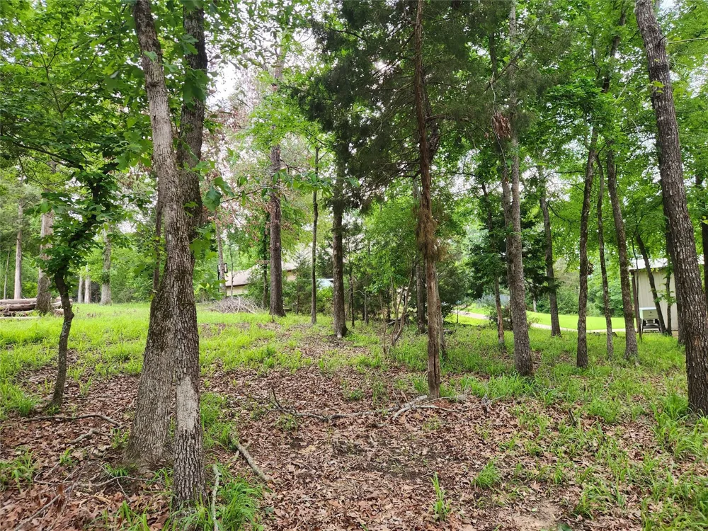 9042 Safari Bluff Larue, TX 75770