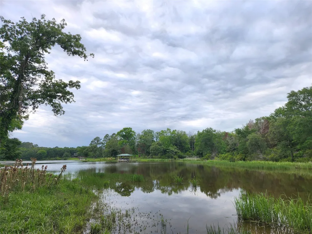 9042 Safari Bluff Larue, TX 75770