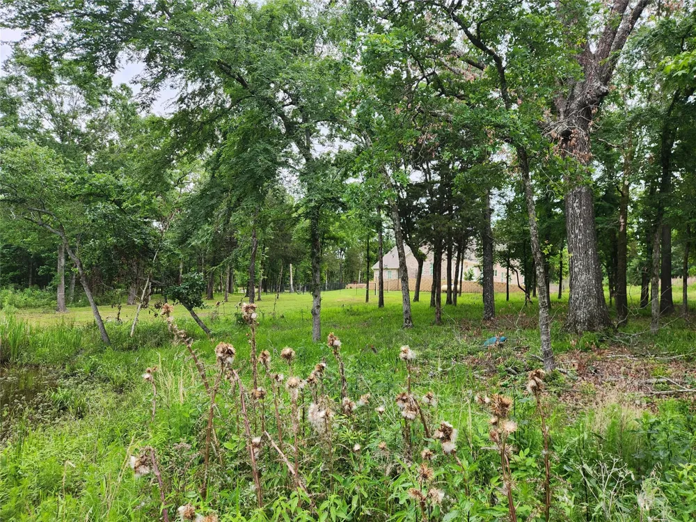 9042 Safari Bluff Larue, TX 75770