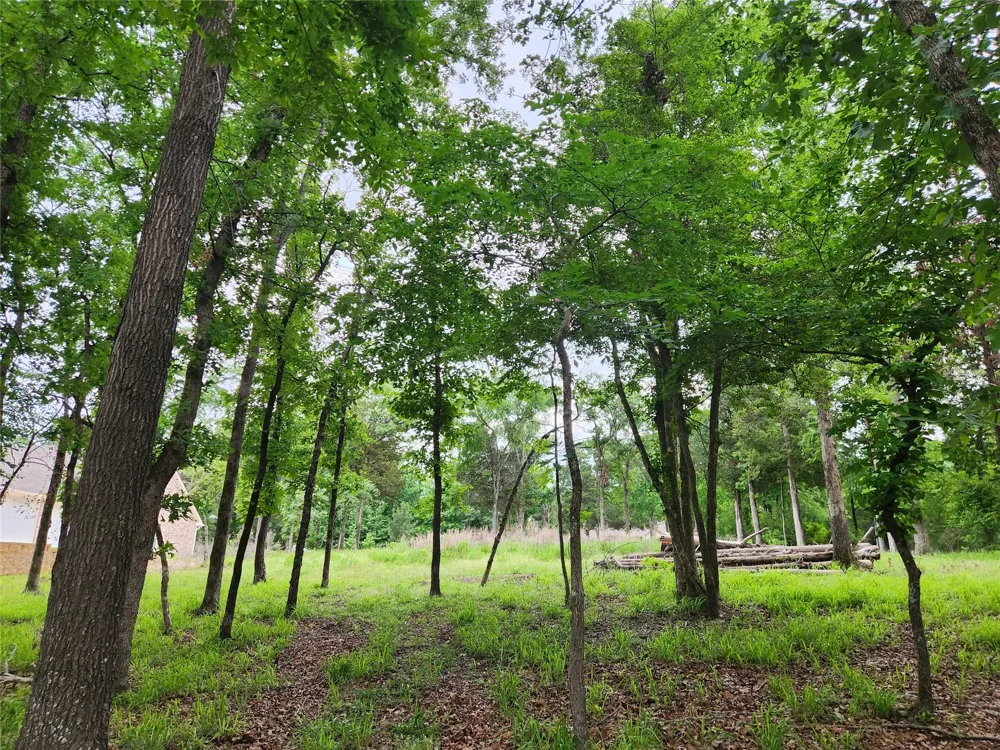 9042 Safari Bluff Larue, TX 75770