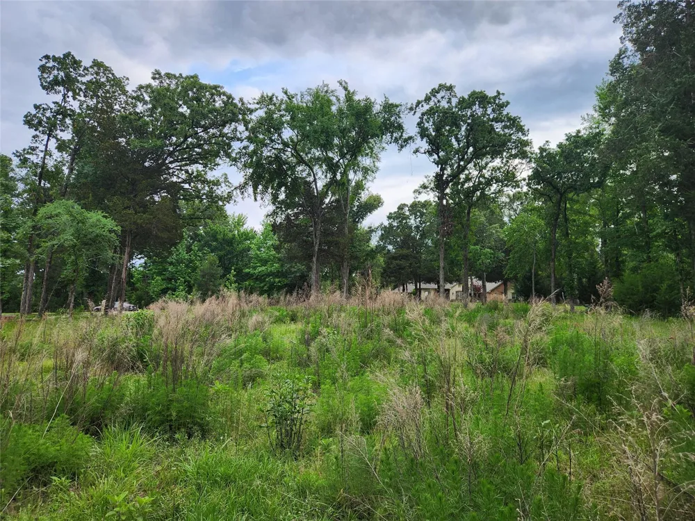 9042 Safari Bluff Larue, TX 75770