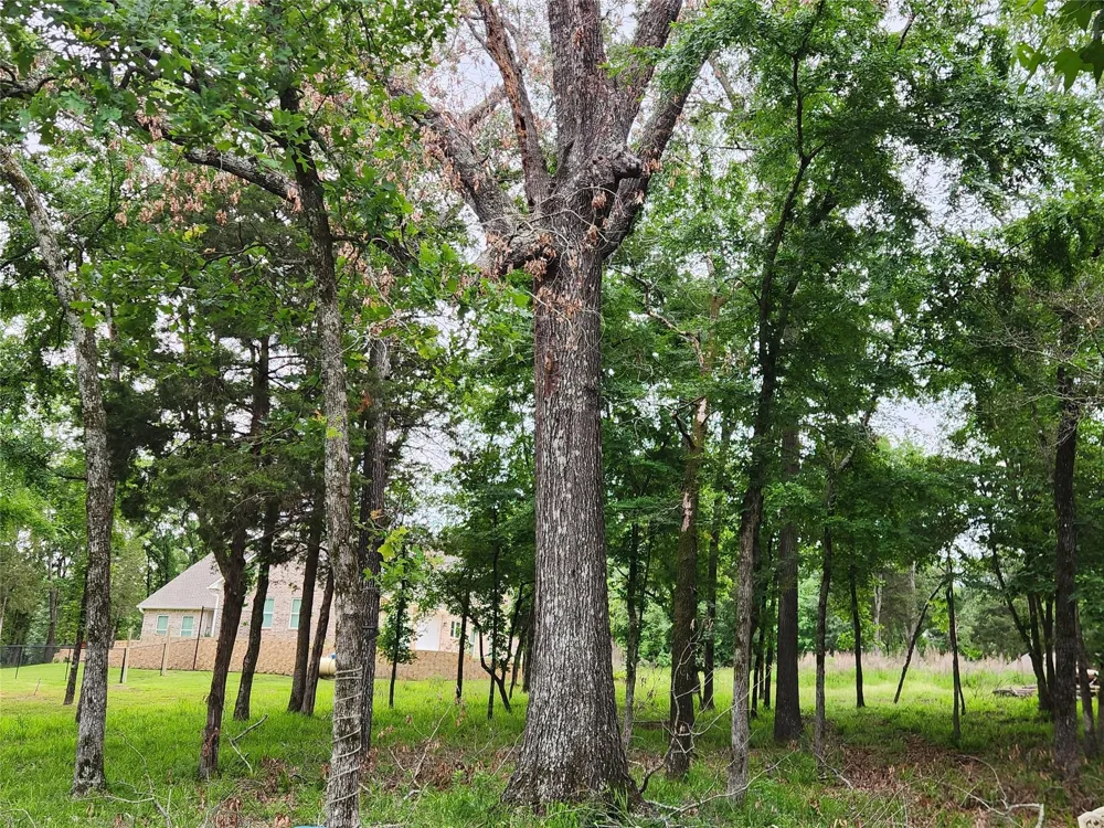 9042 Safari Bluff Larue, TX 75770