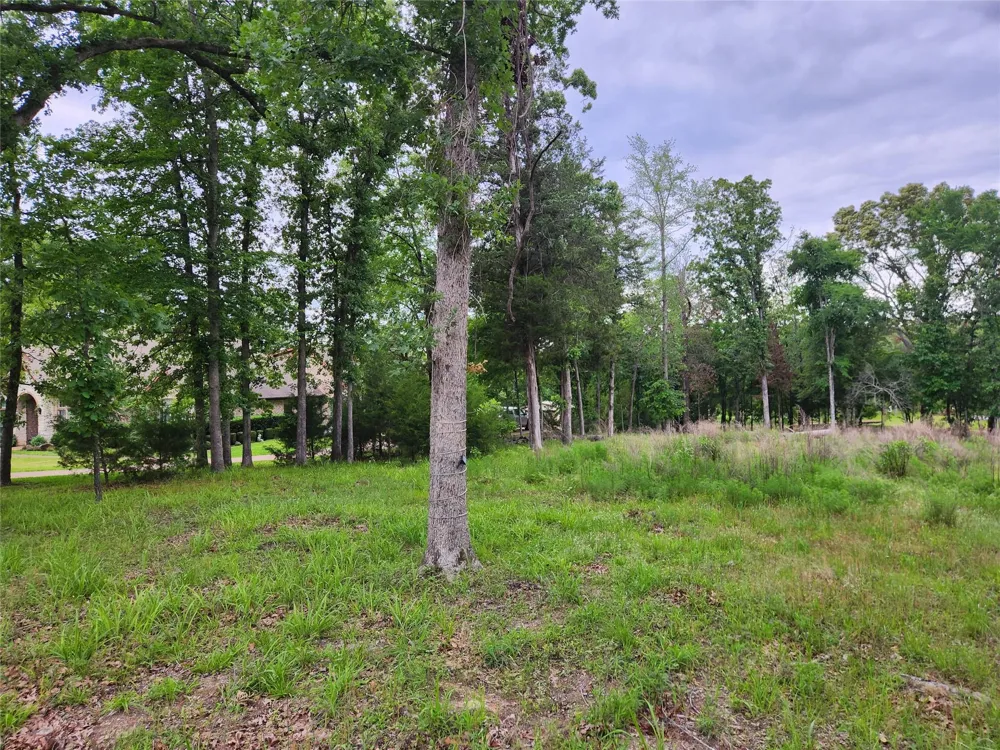 9042 Safari Bluff Larue, TX 75770